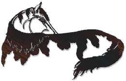 Western Decor, Watchful Eye Metal Wall Hanging WA-265AM