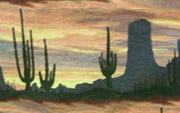 Kings Desert Z 877 Western Upholstery Fabric