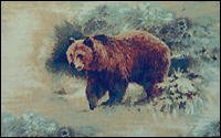 Big Bear Brown Sugar (122)