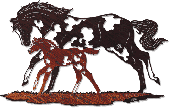 Western Decor, WA-282AM Little Bit Of Color, Metal Wall Hanging
