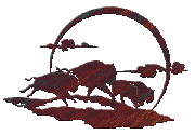 Southwest Decor, Buffalo Run Wall Hanging