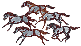 Western Decor, WA-775PC 5 Steel Ponies Wall Hangings